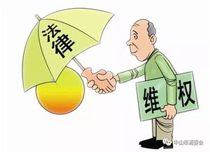 出游旺季消费警示 安全咨询双管齐下，守护您的欢乐旅程